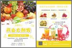 水果宣传单