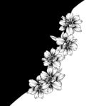 线条花