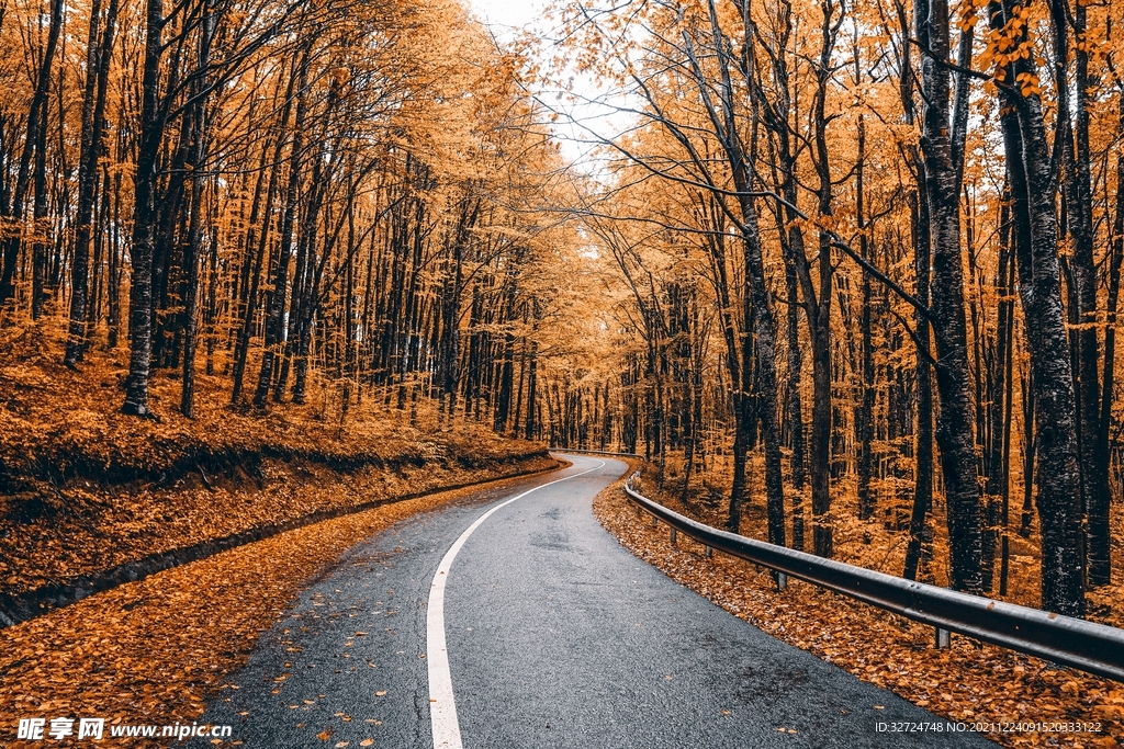 道路