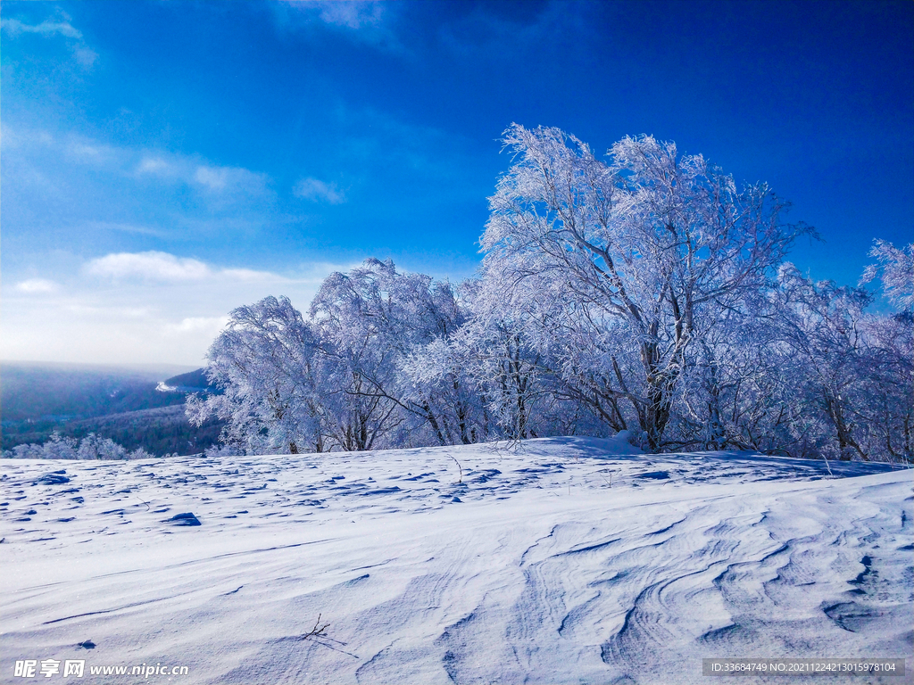 黑龙江雪乡森林美景