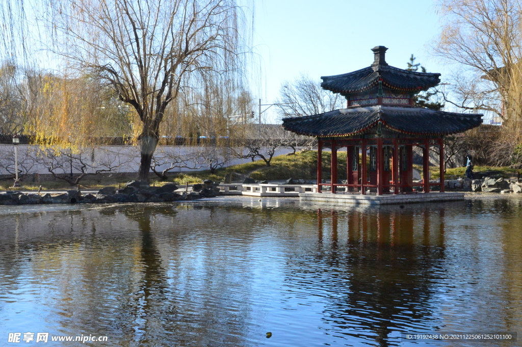 冬日风景