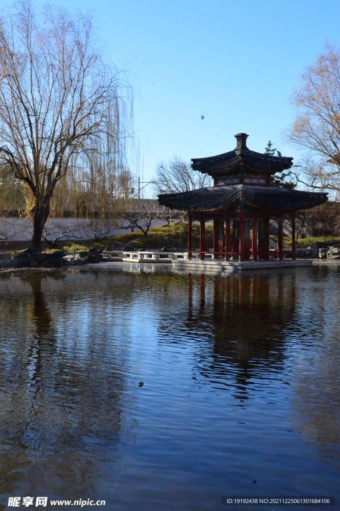 大观园风景 
