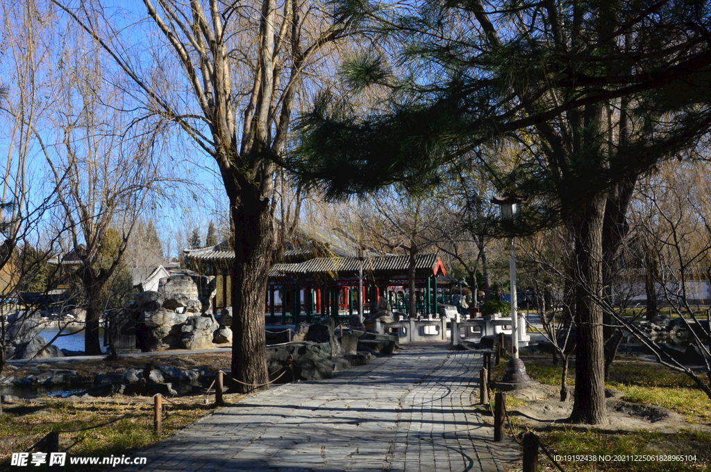 大观园风景 