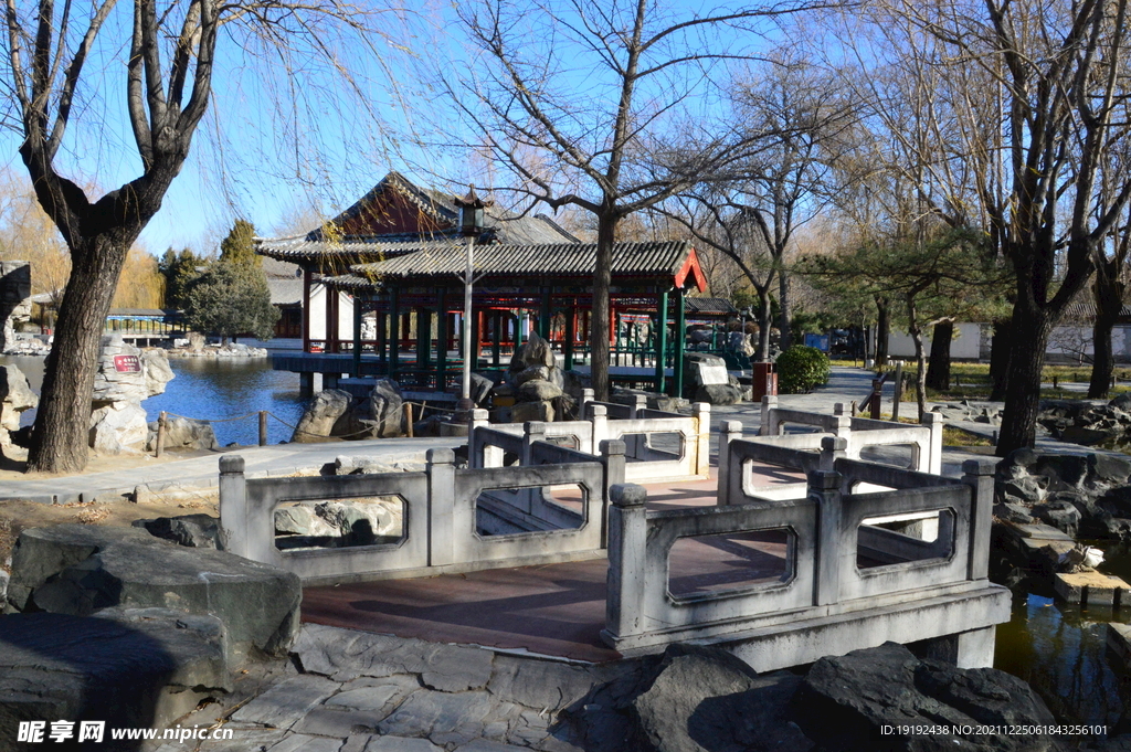 大观园风景 