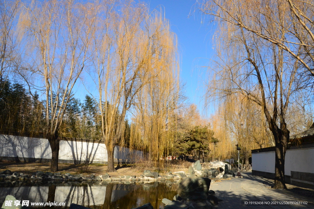 大观园风景