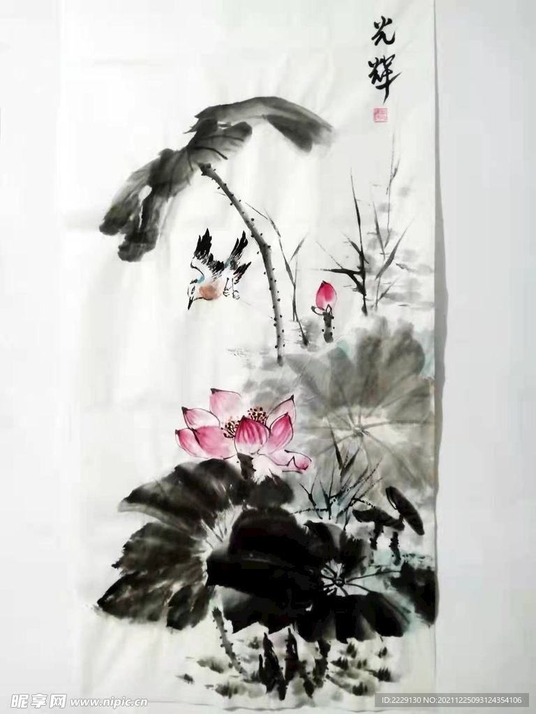 荷花