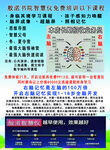 般渃智惠仪