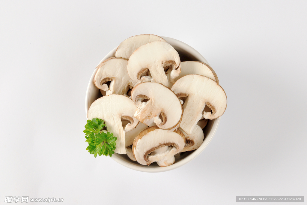 食用蘑菇