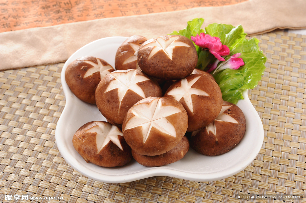 食用蘑菇