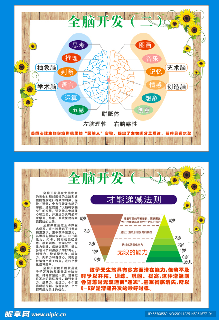 脑开发