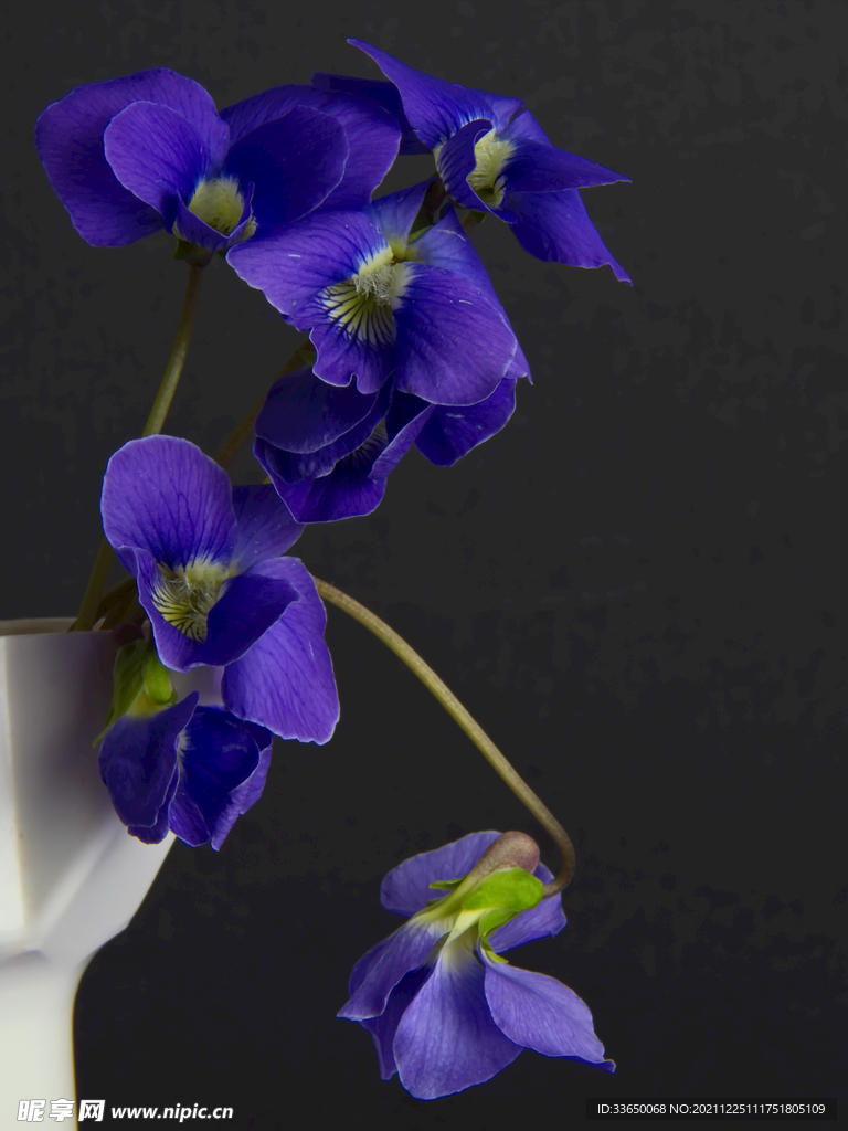 花