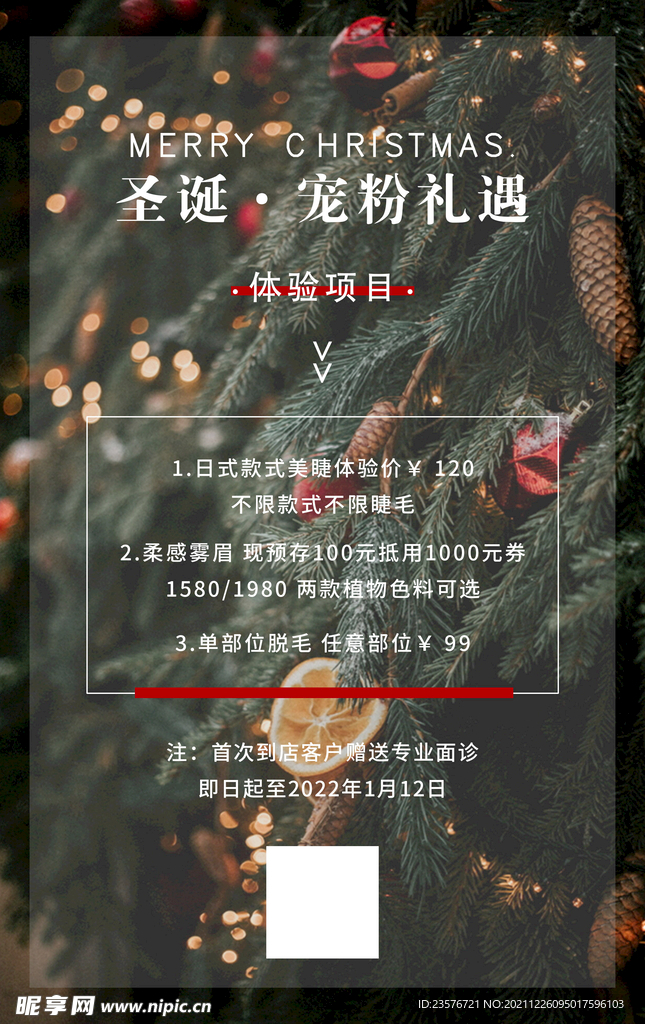 美业 美甲 圣诞节海报