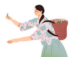 采茶女