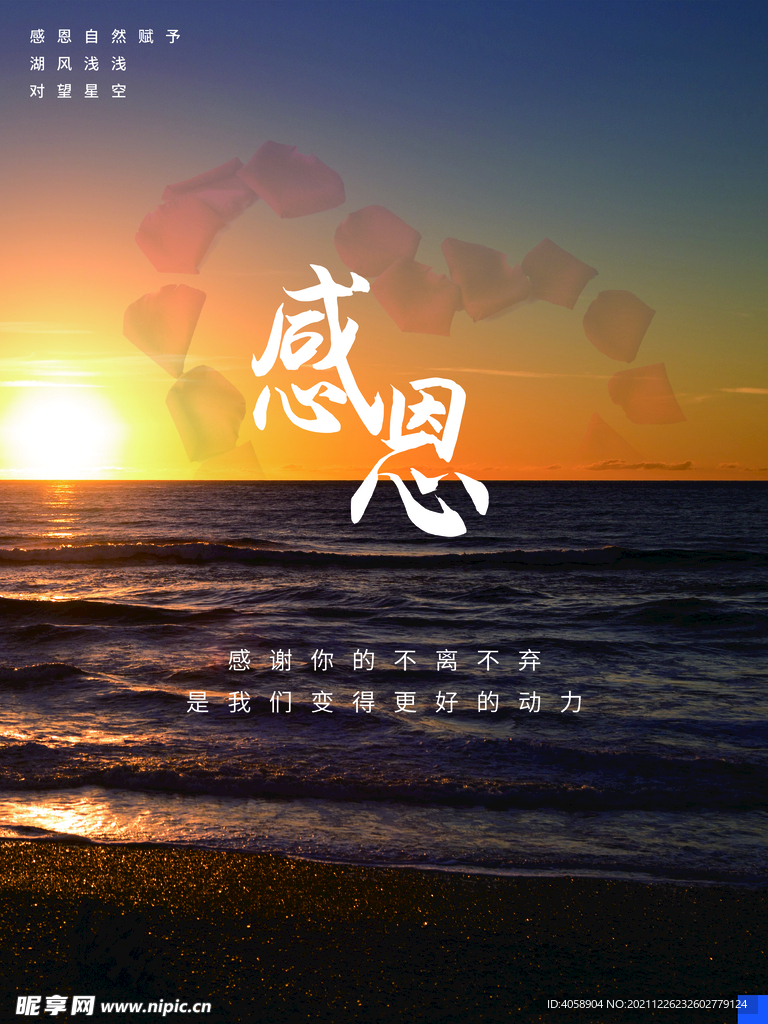 感恩节