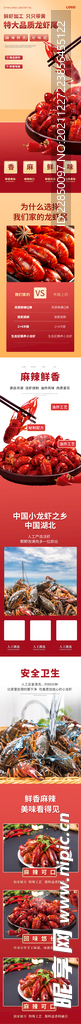 龙虾尾网页海报