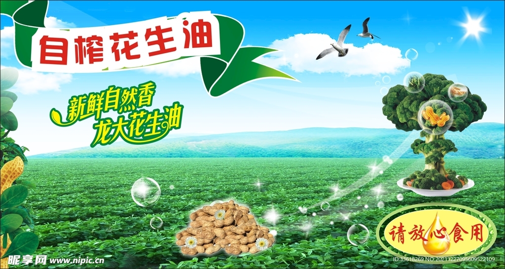 花生油 不干胶 海报 彩页 