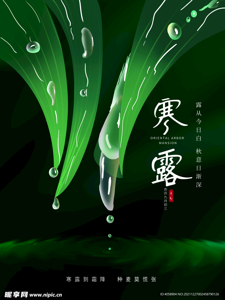 寒露