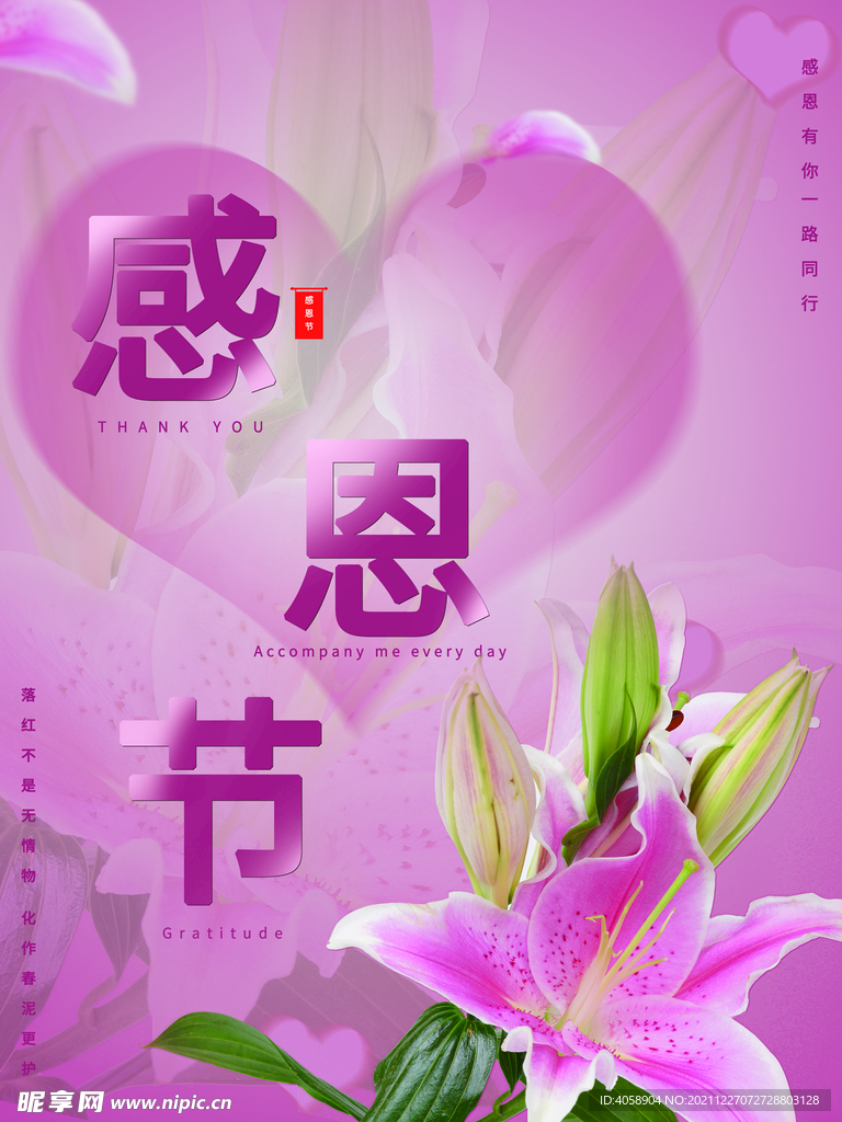 感恩节