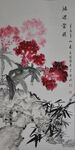 鸡冠花