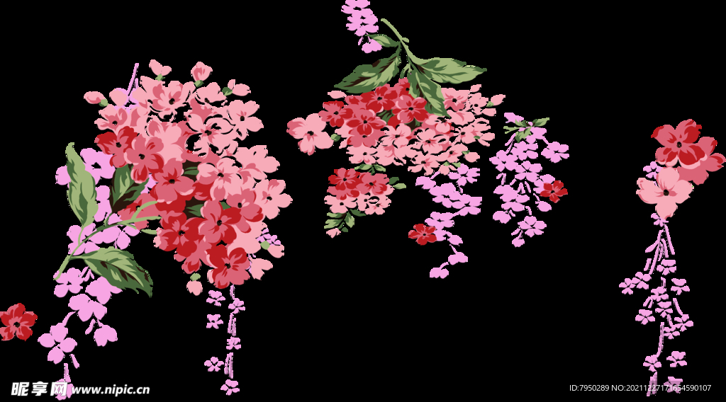 花朵免扣图片