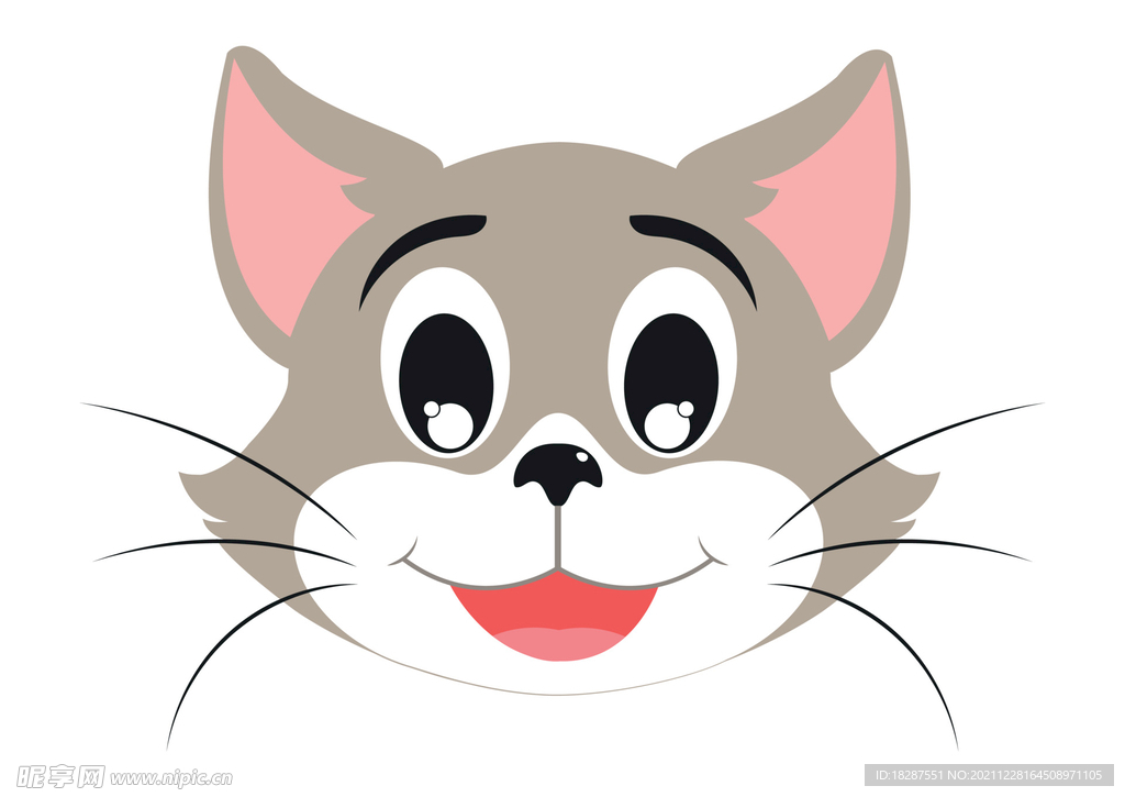 宠物猫