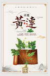 黄连