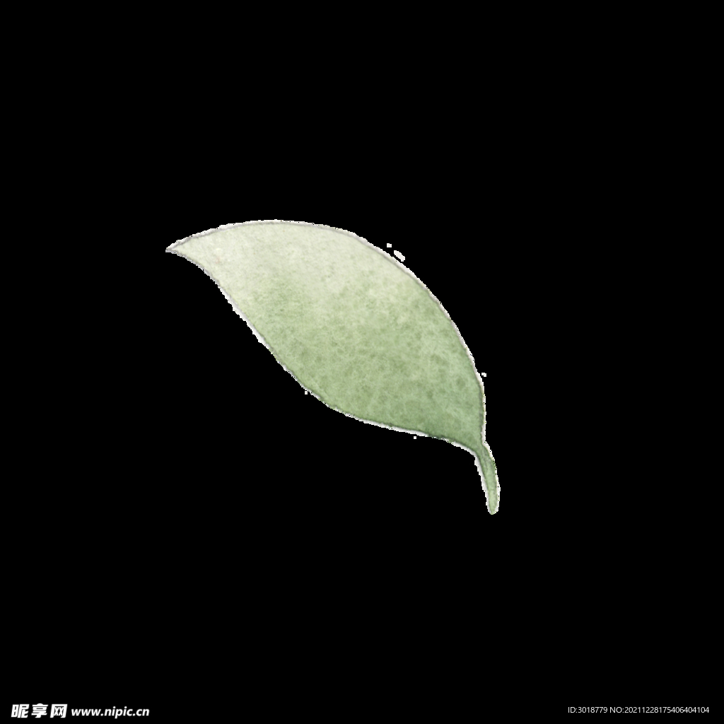 水彩树叶树枝 