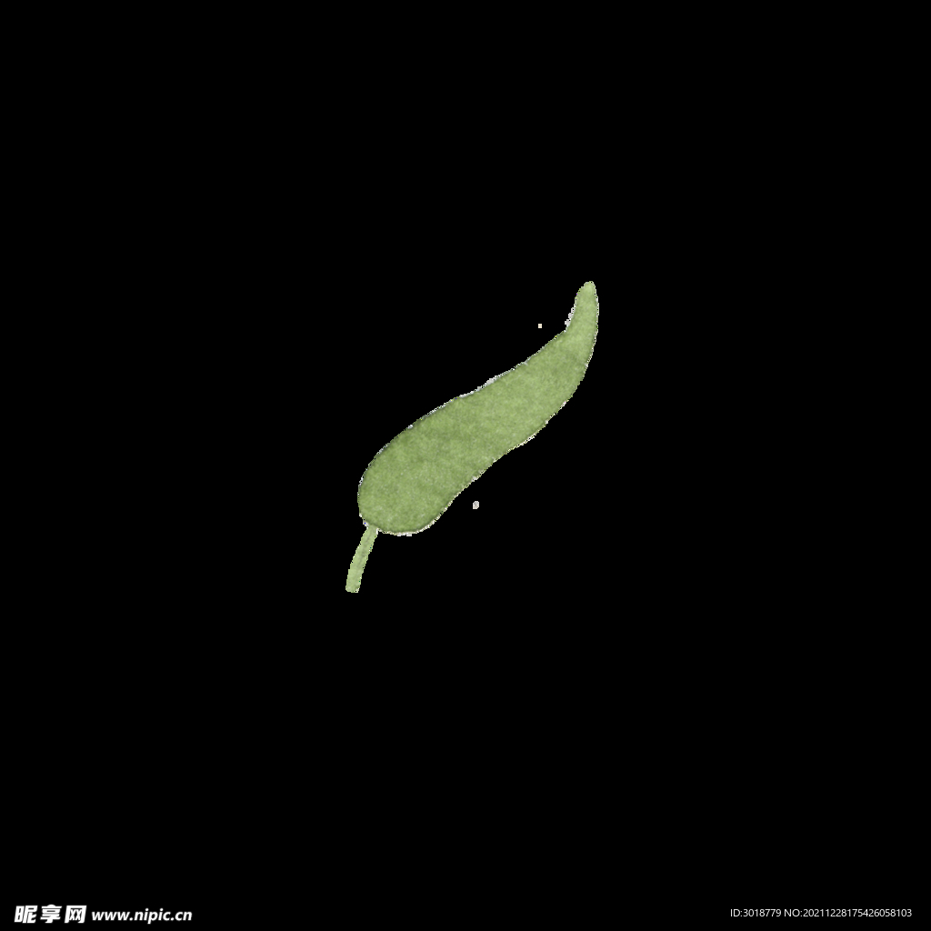 水彩树叶树枝 