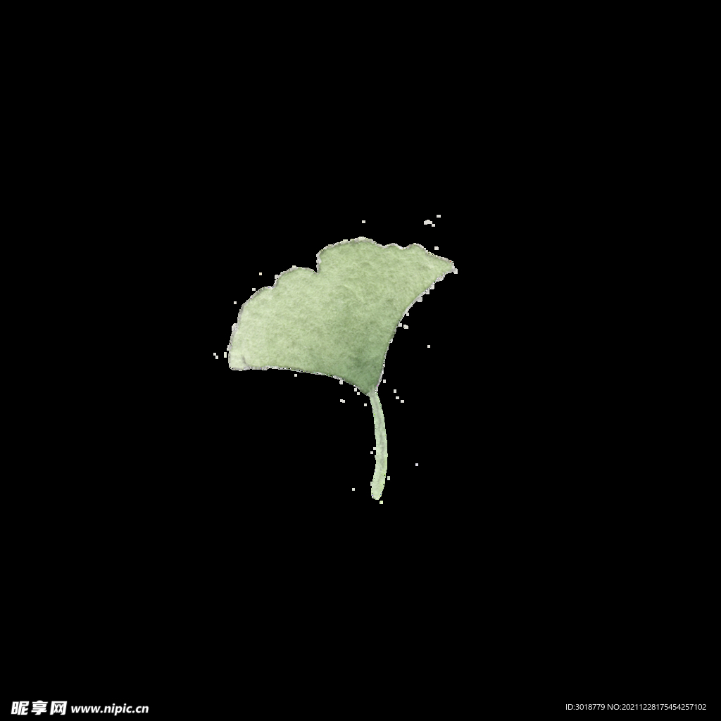 水彩树叶树枝 