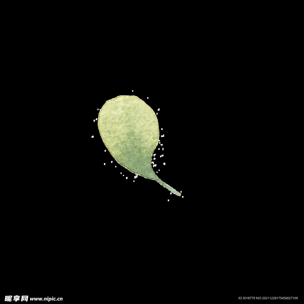 水彩树叶树枝