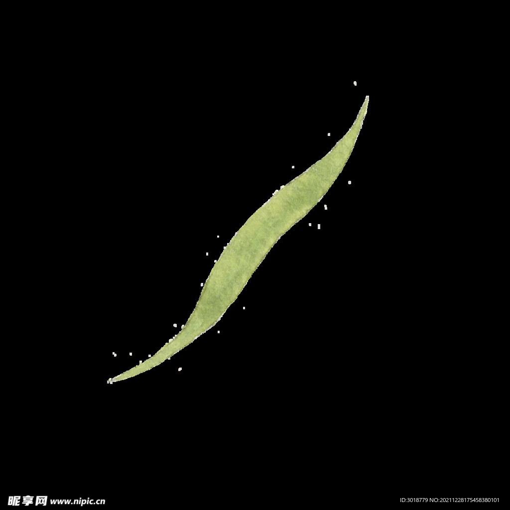 水彩树叶树枝