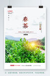 春茶