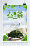 春茶