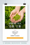 春茶上新