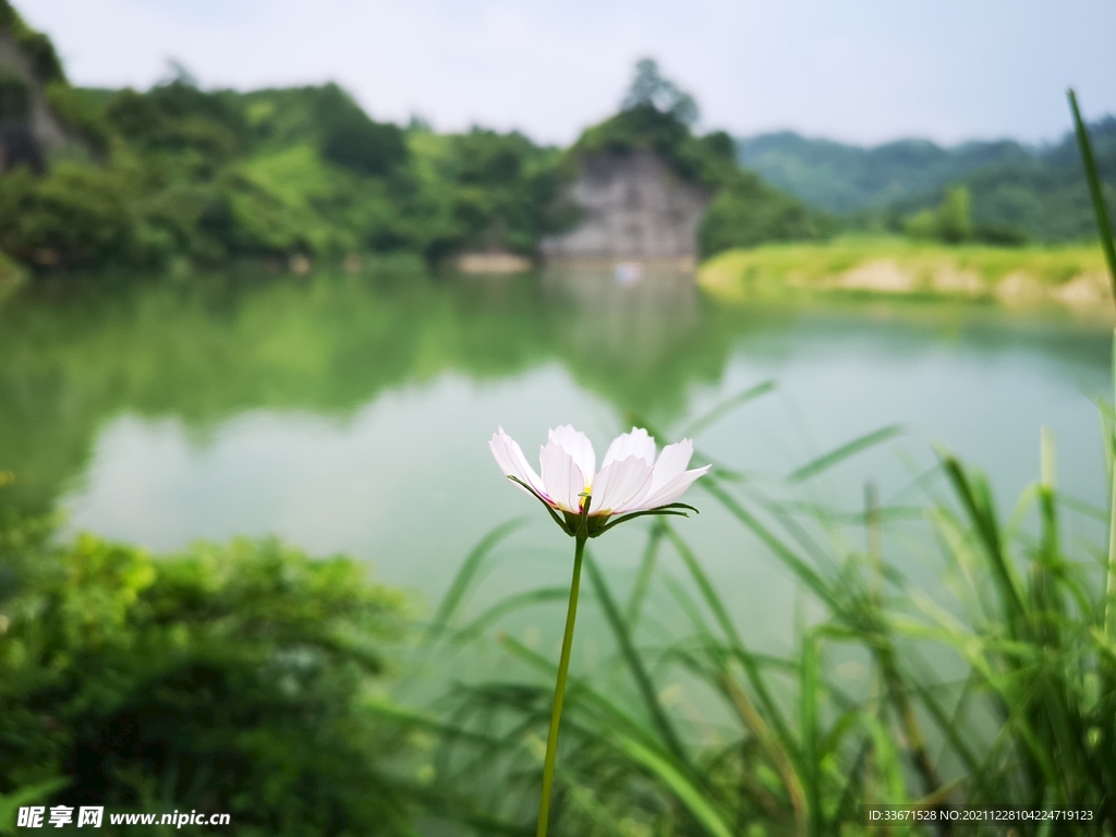 花
