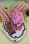 橙色情绪  玫瑰花