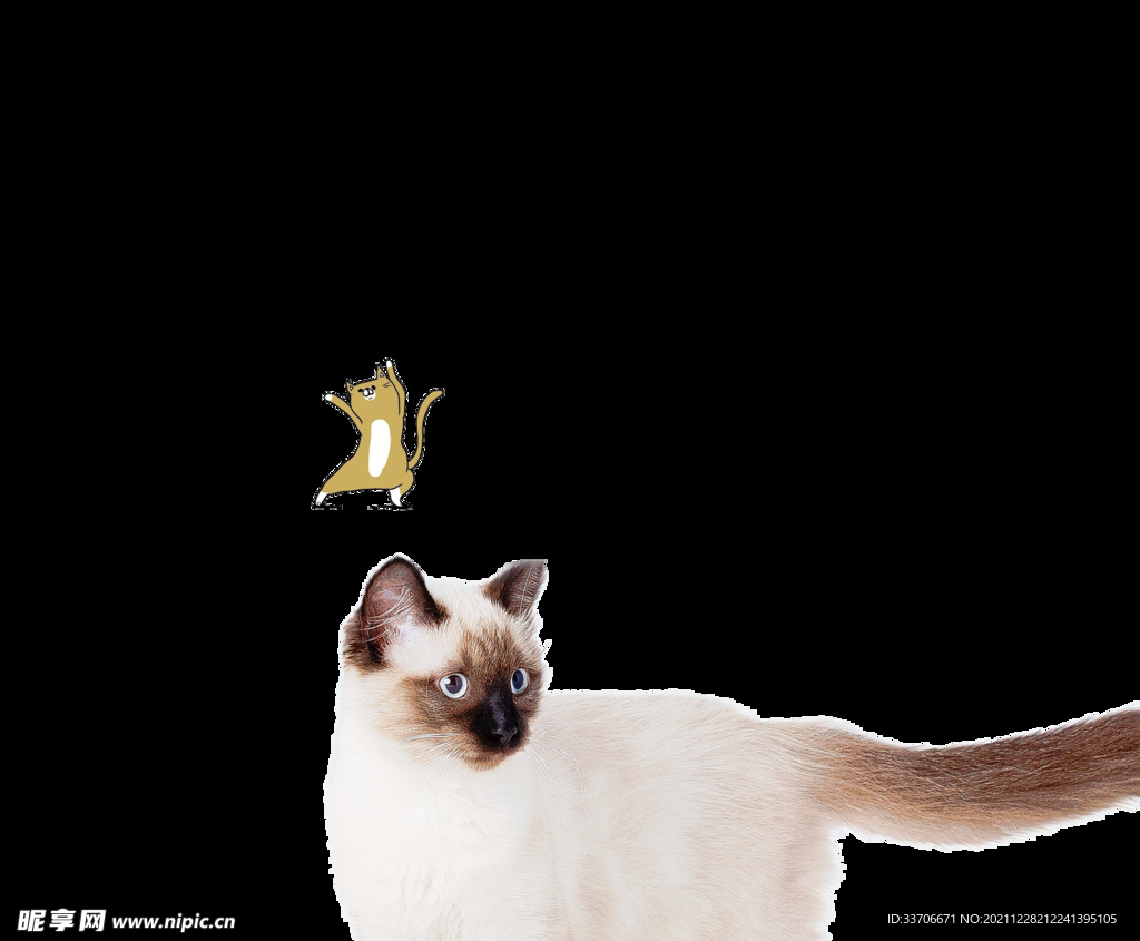猫