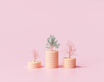 3d金币