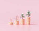 3d金币