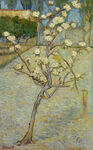 文森特·梵高盛开的梨树高清图片