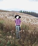 女装海报