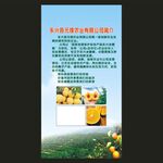 元锋农业公司简介