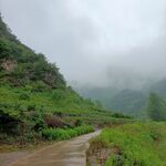 雨中村路