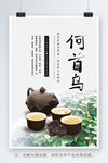 何首乌