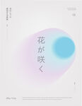 光晕海报