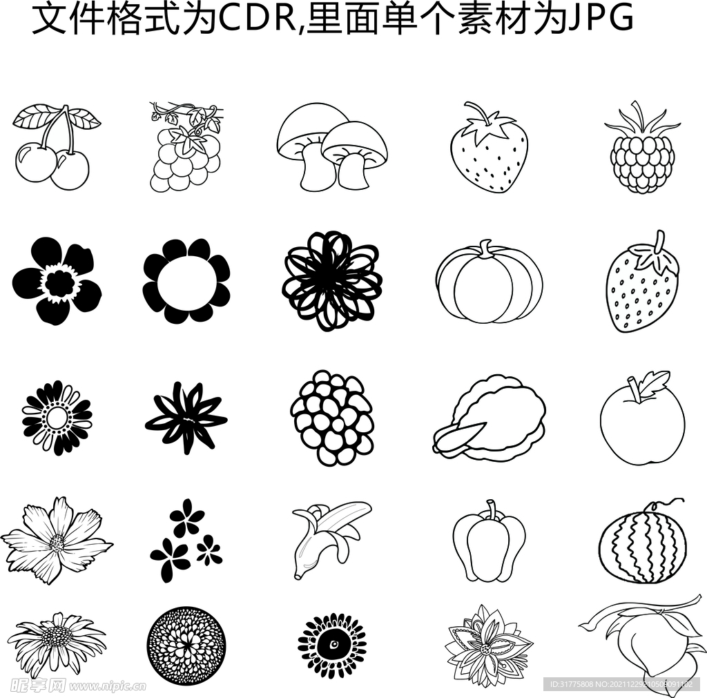 植物花朵水果简笔画