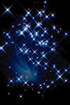 星光