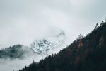 冬天森林雪景 