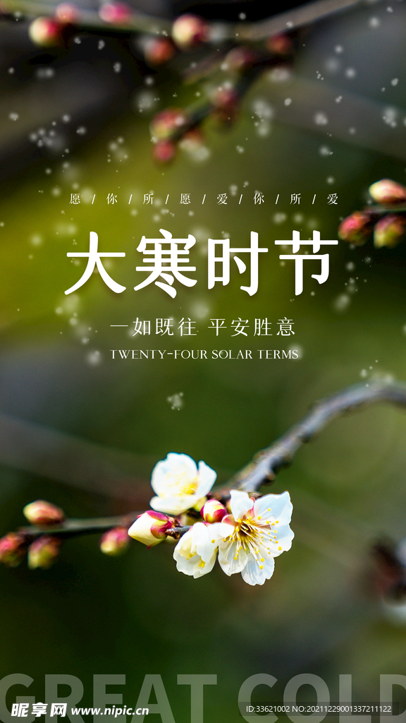 大寒  