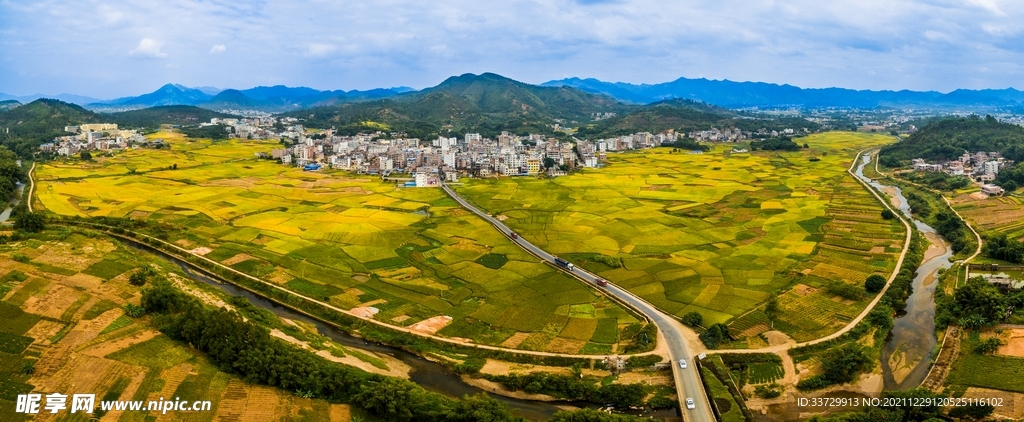 丰收田园